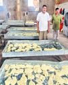 Food adulteration racket busted; 52 held15