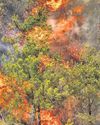 Turkiye sends firefighting planes to Syria56