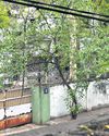Govt bungalow turns dump yard12