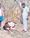 Telangana Today - Hyderabad