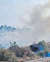 Stubble fires leave trail of deaths, damage Stubble fires leave trail of deaths, damage1