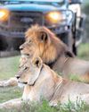Gondwana Game Reserve55