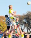 SWD Arende toon veggees in Cravenweek-eindstryd teen WP SWD Arende toon veggees in Cravenweek-eindstryd teen WP14