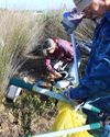 Bewaringstrust takel erf 657 se indringers4