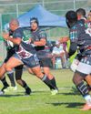 Heibi ryg die drieë in teen Harlequins9
