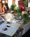 Busy Lizzy-lede geboei deur blomme en bruin mossels Busy Lizzy-lede geboei deur blomme en bruin mossels7