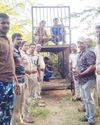 திசையன்விளை அருகே விவசாயியை கடித்து குதறிய கரடி!13