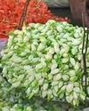 வரத்து அதிகரிப்பால் திண்டுக்கல் பூ மார்க்கெட்டில் பூக்களின் விலை கடும் சரிவு!2