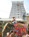 பூதிருச்செந்தூர் கும்பாபிஷேகம்: யாக சாலைக்கு புனித நீர் யானையில் கொண்டுவரப்பட்டது!14