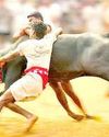 பொங்கல் பண்டிகையையொட்டி மதுரை ஜல்லிக்கட்டு தேதிகள் அறிவிப்பு! பொங்கல் பண்டிகையையொட்டி மதுரை ஜல்லிக்கட்டு தேதிகள் அறிவிப்பு!0