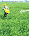 Malai Murasu Tirunelveli