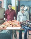 புகையிலை பொருட்கள் விற்ற இருவர் கைது!18