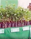 Malai Murasu Kovai