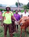 ஓமலூர் அருகே கிணற்றில் தவறி விழுந்த பசு மாடு உயிருடன் மீட்பு! ஓமலூர் அருகே கிணற்றில் தவறி விழுந்த பசு மாடு உயிருடன் மீட்பு!