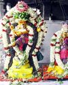 சுகவனேஸ்வரர் கோவிலில் விசாக திருவிழா!18