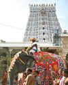 திருச்செந்தூர் கும்பாபிஷேகம் யாக சாலைக்கு 3 புனித நீர் யானையில் கொண்டுவரப்பட்டது!6