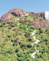 3 மாதத்தில் கிரிவலப்பாதை அமைக்கப்படும்! 3 மாதத்தில் கிரிவலப்பாதை அமைக்கப்படும்!