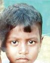 செங்கல்பட்டு அருகே குளவி கொட்டியதால் 7வயது சிறுவன் சாவு! மேலும் சிலருக்கு மருத்துவமனையில் சிகிச்சை!! Malai Murasu Chennai