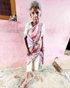 திருவேற்காட்டில் மூதாட்டியை கடித்து குதறிய நாய்!24