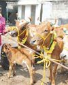 Malai Murasu Chennai