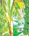 Malai Murasu