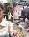 யானைகள் மோதலில் சென்னை பெண் பலி: கர்நாடக முகாம்களில் புகைப்படம் எடுக்கத் தடை! மலையேற்றத்துக்கும் தடை விதித்து உத்தரவு!! யானைகள் மோதலில் சென்னை பெண் பலி: கர்நாடக முகாம்களில் புகைப்படம் எடுக்கத் தடை! மலையேற்றத்துக்கும் தடை விதித்து உத்தரவு!!22
