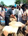 ராமர் கோயில் பிரசாதத்தின் பெயரில் 6 லட்சம் பேரிடம் ரூ.3.85 கோடி மோசடி29