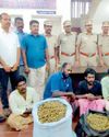 இலங்கைக்கு கடத்துவதற்காக பதுக்கிய 70 கிலோ கஞ்சா பறிமுதல்!34