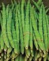 கோயம்பேடு சந்தையில் முருங்கைக்காய் விலை திடீர் சரிவு!