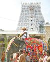 திருச்செந்தூர் கும்பாபிஷேகம்: யாக சாலைக்கு புனித நீர் யானையில் கொண்டு வரப்பட்டது!12