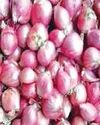 வரத்து குறைவால் சின்ன வெங்காயத்தின் விலை கிலோவுக்கு ரூ.90 ஆக உயர்வு !24