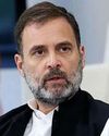ஸ்டாலினுடன் பேசிய நிலையில் விஜயுடன், ராகுல் காந்தி தொலைபேசியில் பேச்சு! ஸ்டாலினுடன் பேசிய நிலையில் விஜயுடன், ராகுல் காந்தி தொலைபேசியில் பேச்சு!4