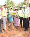 மெய்யூர் ஊராட்சியில் மரக்கன்று நடும் விழா மெய்யூர் ஊராட்சியில் மரக்கன்று நடும் விழா