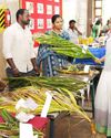தென்னை, பாக்குகளில் ஏற்படும் நோய் தாக்கத்திலிருந்து பாதுகாத்திட பயிர் பாதுகாப்பு நடைமுறைகளை கடைபிடிக்க வேண்டும்: ஆட்சியர் பிருந்தாதேவி தகவல் தென்னை, பாக்குகளில் ஏற்படும் நோய் தாக்கத்திலிருந்து பாதுகாத்திட பயிர் பாதுகாப்பு நடைமுறைகளை கடைபிடிக்க வேண்டும்: ஆட்சியர் பிருந்தாதேவி தகவல்
