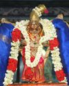 ஜூலை 8ந் தேதி காரைக்கால் அம்மையார் கோவிலில் மாங்கனி திருவிழா23