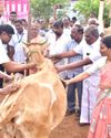 நாமக்கல் மாவட்டத்தில் 2,81,458 கால்நடைகளுக்கு கோமாரி நோய் தடுப்பூசி போட நடவடிக்கை: ஆட்சியர் துர்காமூர்த்தி தகவல்6