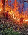 U'khand forest fires fan out to populated areas