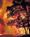 Death toll in Uttarakhand forest fire rises to three, situation remains grim21