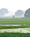 Crops on 10K hectares inundated