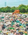 Two held for facilitating dumping of Kerala biomed waste in Nellai