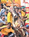 TN govt drops mandatory insurance for jallikattu