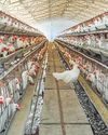 TN jails to set up poultry farms to improve meals