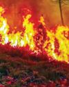 West Himalayas Record Sharp Rise in Wildfires in a Year