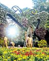 FLOWER SHOW AT SEMMOZHI POONGA TO OPEN TODAY