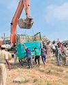 Elusive leopard caught, let out in Cauvery sanctuary