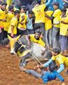 Year's first jallikattu sees 235 tamers, 459 bulls