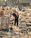 LA families in shock as they return to charred homes