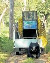 Forest officials capture sloth bear, release animal into MTR