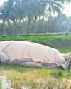 6 Safe as Hot Air Balloon Lands 20km Away in KL