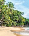 TWO OF KERALA'S BEACHES BAG BLUE FLAG CERTIFICATION